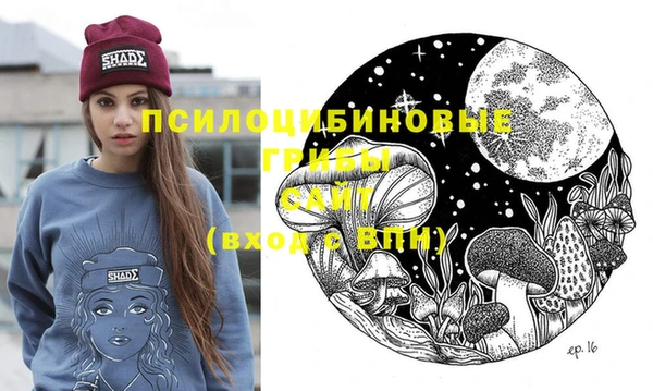 прущие грибы Алзамай
