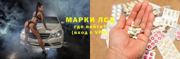 прущие грибы Алзамай