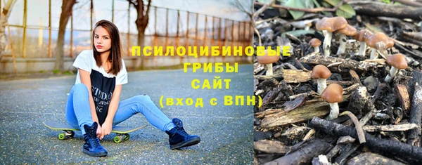 a pvp Алексин
