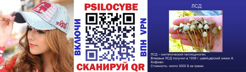Псилоцибиновые грибы Magic Shrooms  mega как войти  Белгород 