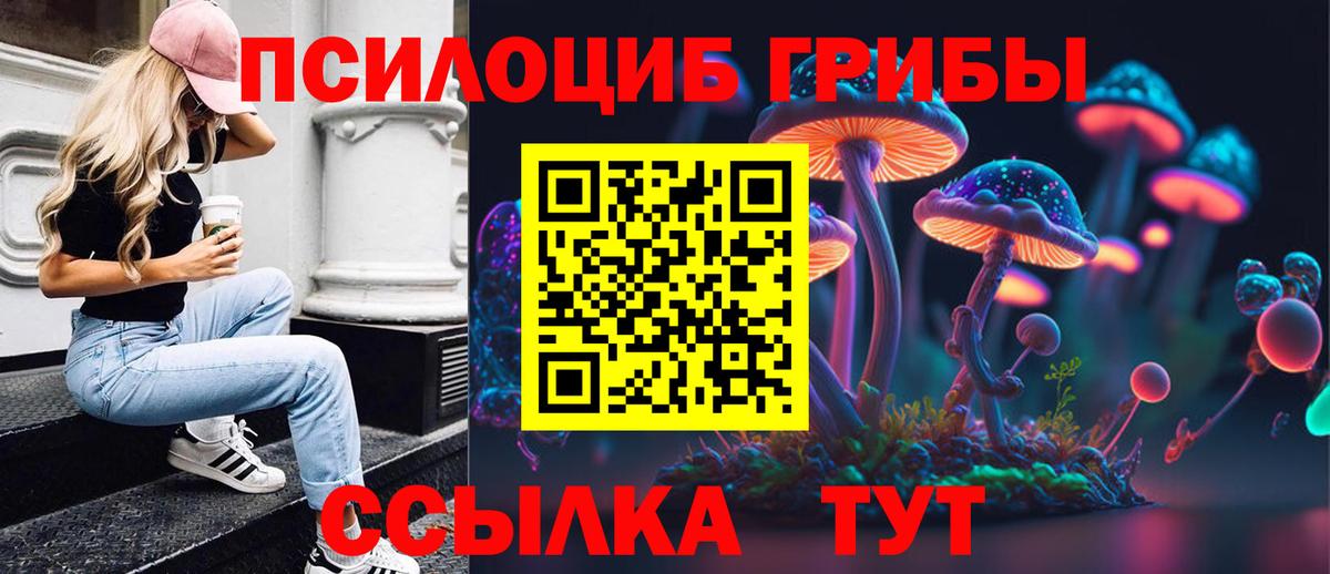 Галлюциногенные грибы Psilocybine cubensis Белгород